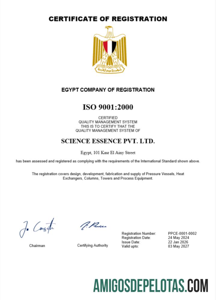 Certificado de registro realista do Egito modelo Word e PDF